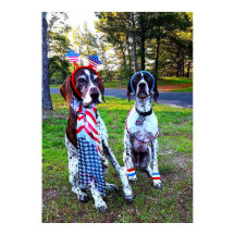 Cachorros de Festa de Celebração Patriótica