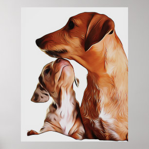 Poster Cachorros de salsicha Cachorros 7 Semanas Dachshun