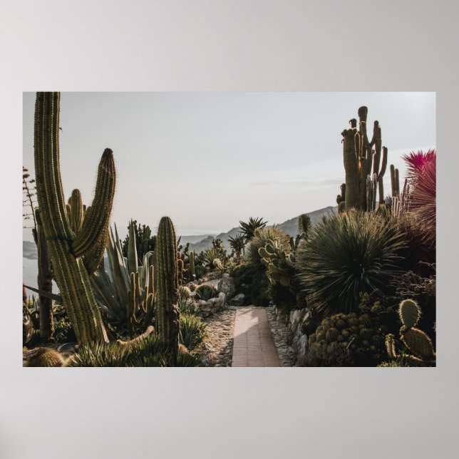 POSTER CACTI HILL (Frente)