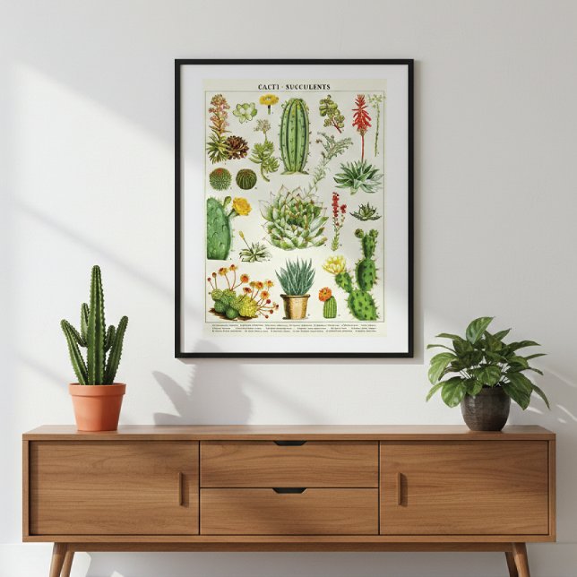 Poster Cacti Succulent Scientific Chart (Criador carregado)