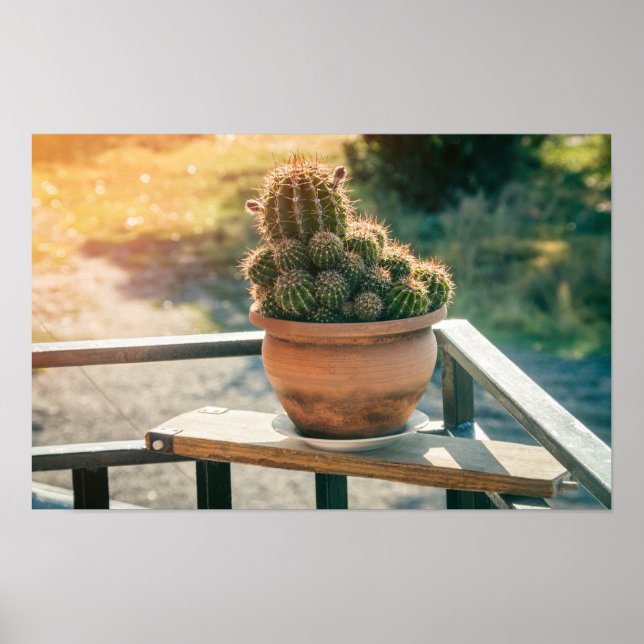 Poster Cacto ao sol (Frente)