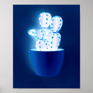 Poster Cacto azul