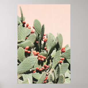 Poster Cacto da pera de Prickley