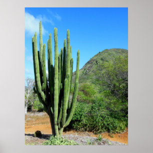 Póster Cacto da tubulação de órgão