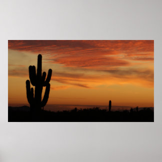 Poster Cacto de Arizona IDKP no pôr do sol