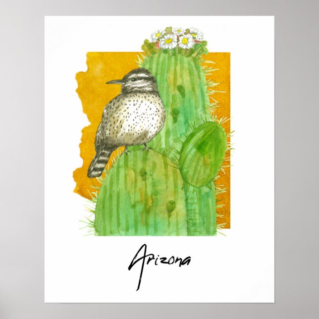 Poster Cacto do Arizona em Flor e Pássaro Cactista (Frente)
