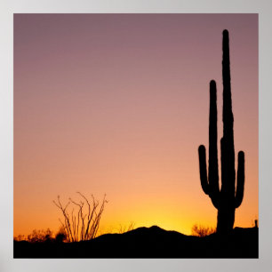 Poster Cacto do Saguaro no por do sol