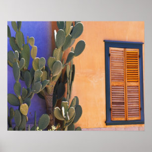 Poster Cacto do sudoeste (Opuntia dejecta) e