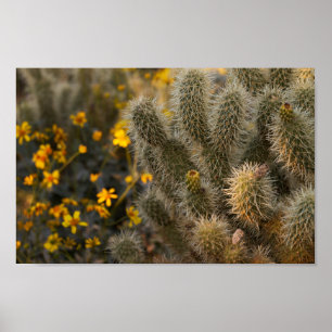 Poster cacto e wildflowers