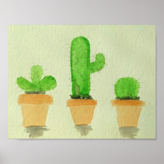 Póster Cactos