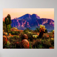 Cactos E Deserto De Arizonas De Montanha Roxa 14x1
