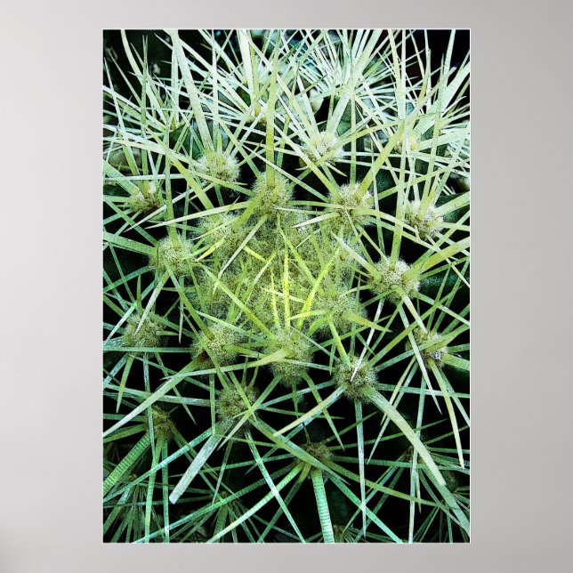 Póster Cactus (Frente)