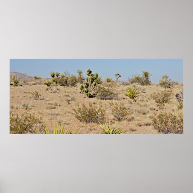 Poster Cactus do Deserto e Plantas (Frente)
