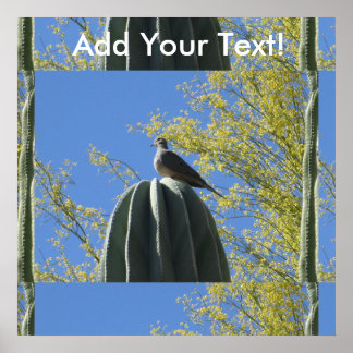 Póster Cactus Dove