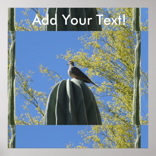 Póster Cactus Dove (Frente)