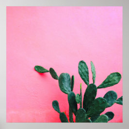 Poster Cactus em fundo rosa