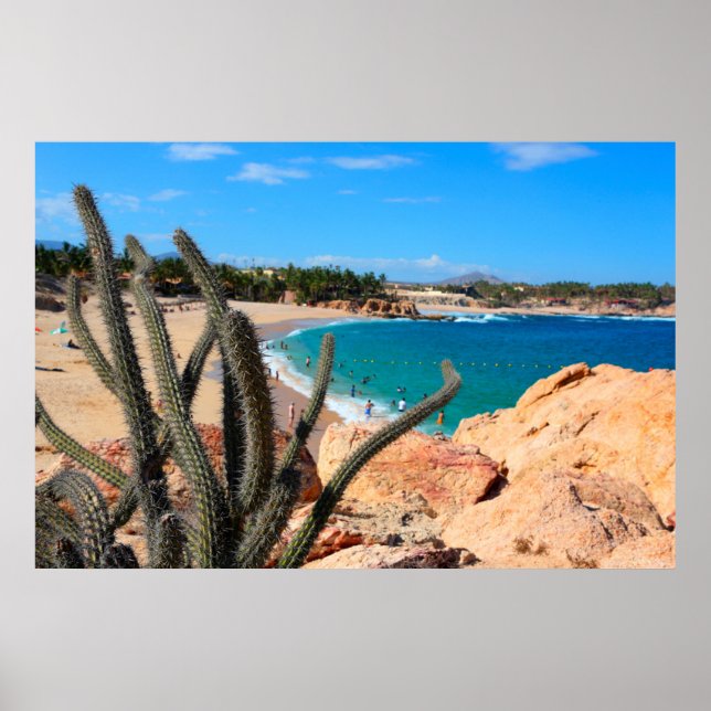 Poster Cactus Em Rocky Hilltop Sobre Sandy Beach (Frente)