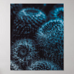 Poster Cactus Escuro