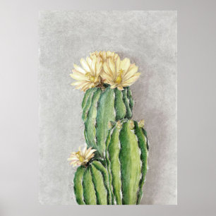 Poster Cactus Flower Painting