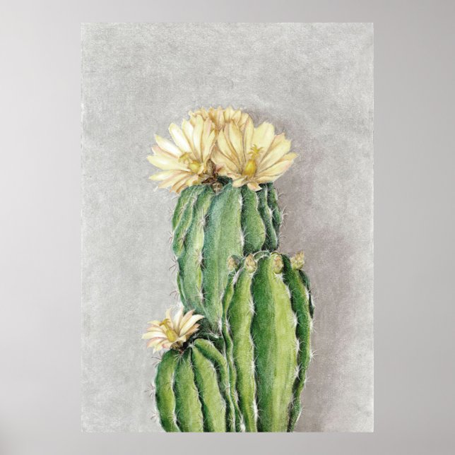 Poster Cactus Flower Painting (Frente)
