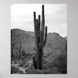 Poster Cactus Saguaro preto e branco na Arizona 16x20