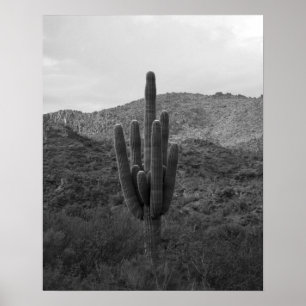 Poster Cactus Saguaro preto e branco na Arizona 16x20