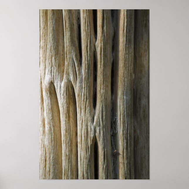 Póster Cactus Skeleton (Frente)