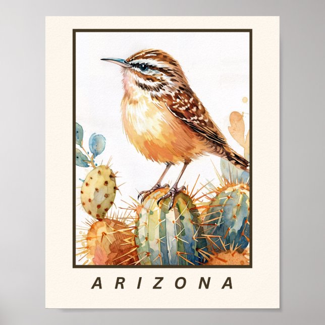 Poster Cactus Wren Arizona State Bird  (Frente)