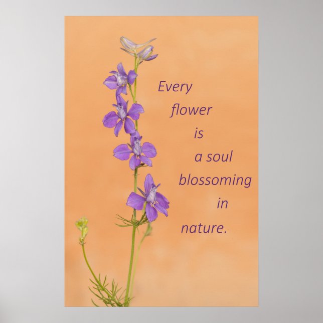 Poster Cada Flor (Frente)