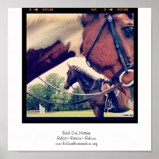 Póster Cada um importa