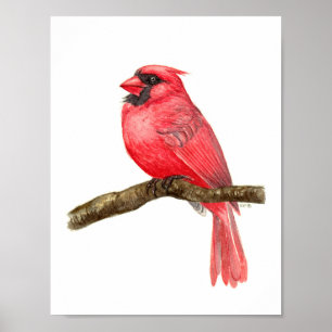 Poster Cadeado de aves cardinhas