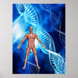 Poster Cadeia de DNA