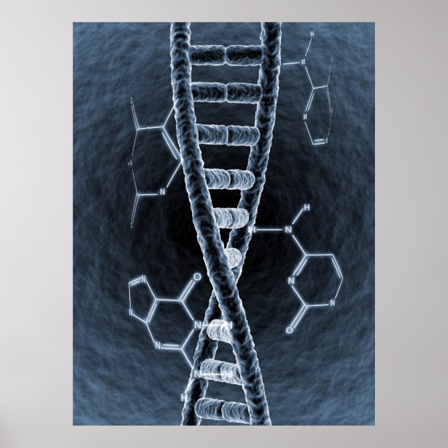 Poster cadeia de DNA (Frente)