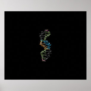Poster Cadeia de DNA