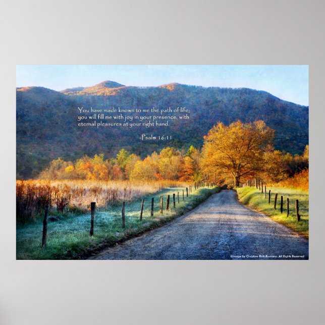 Poster - Cades Cove - Caminho da Vida (Frente)