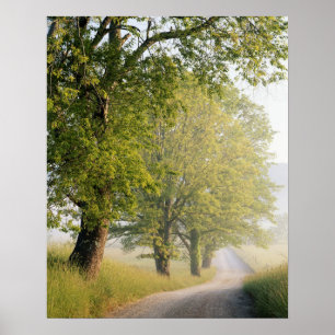 Poster Cades Cove   Grandes Montanhas Smokey, TN