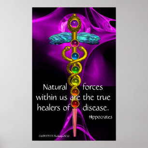 Póster CÁDUCEO DE OURO, 7 CHACRAS, ROSA ROXA Médico, Yoga