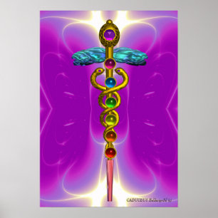 Póster CÁDUCEO DE OURO 7 CHAKRAS, Ioga, Médico Rosa Fúcsi