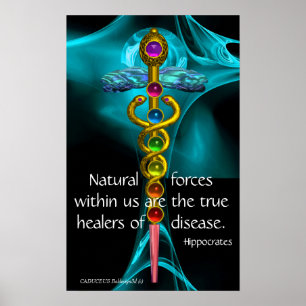 POSTER CÁDUCEO DE OURO E 7 CHAKRAS EM ROSA FRATAL AZUL