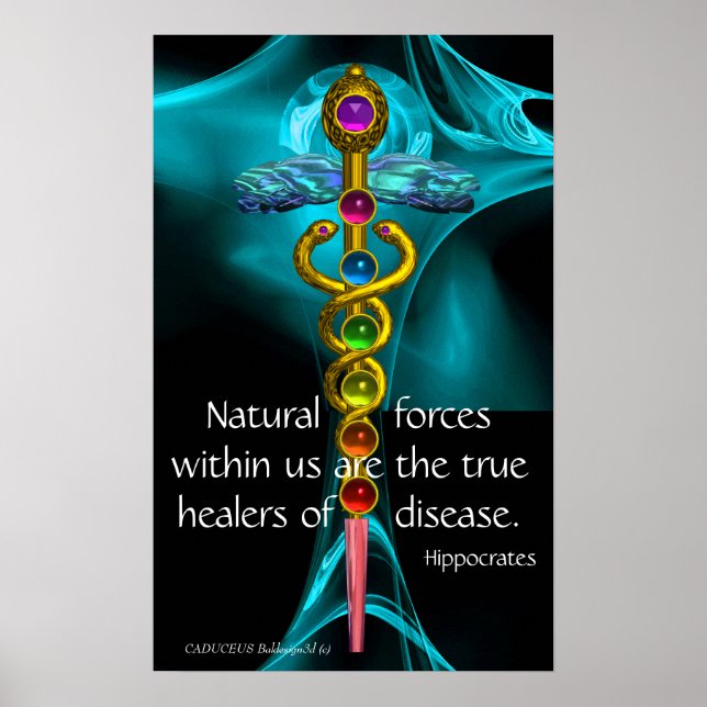 POSTER CÁDUCEO DE OURO E 7 CHAKRAS EM ROSA FRATAL AZUL (Frente)
