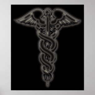 Póster Caduceus