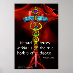 Poster CADUCEUS DOURADO, 7 CHAKRAS, ROSA VERMELHA médica