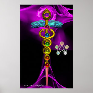 Poster CADUEUS Dourados E 7 CHAKRAS EM ROSA FRACTAL RÚPI