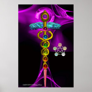Poster CADUEUS Dourados E 7 CHAKRAS EM ROSA FRACTAL RÚPID