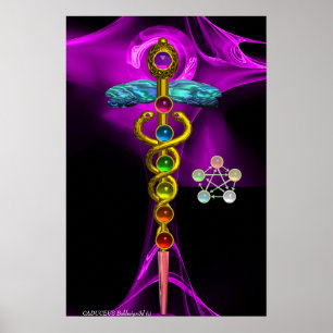 Poster CADUEUS Dourados E 7 CHAKRAS EM ROSA FRACTAL RÚPID