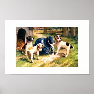 Póster Cães