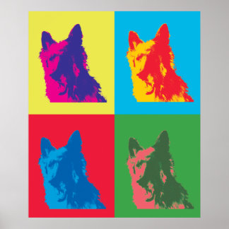 Poster cães