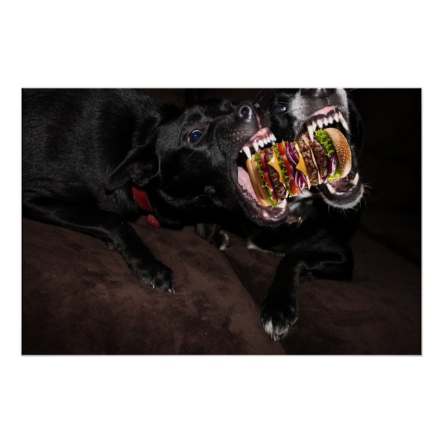 Póster Cães atacando um enorme hambúrguer. (Frente)