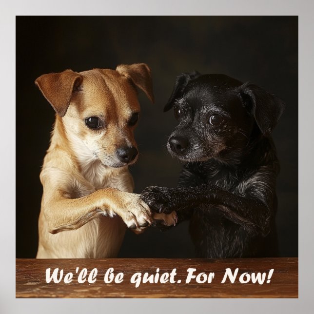 Poster Cães Barulhentos (Frente)