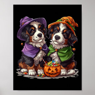 Poster Cães Berneses Montanheses Fofos de Mulheres Bruxa 
